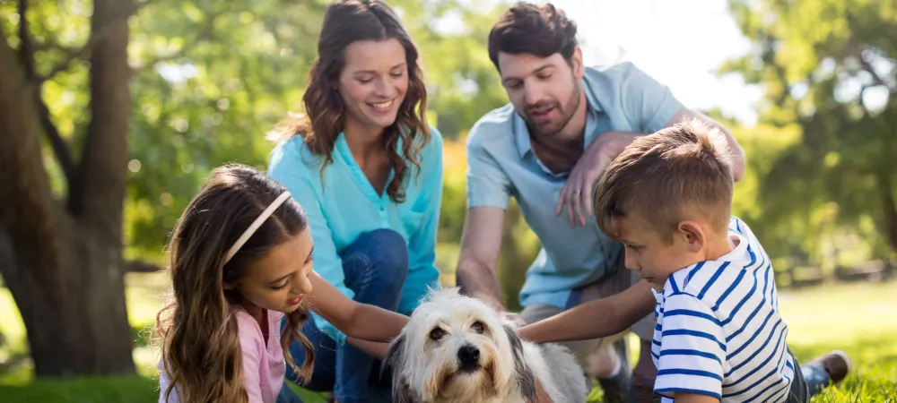 Family of four laying on grass petting their dog